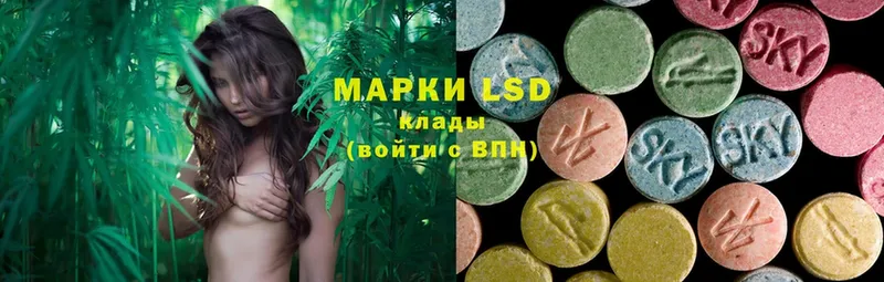 мориарти как зайти  купить закладку  Няндома  LSD-25 экстази ecstasy 